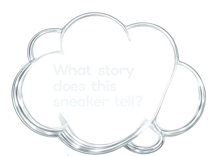 What story does this sneaker tell?