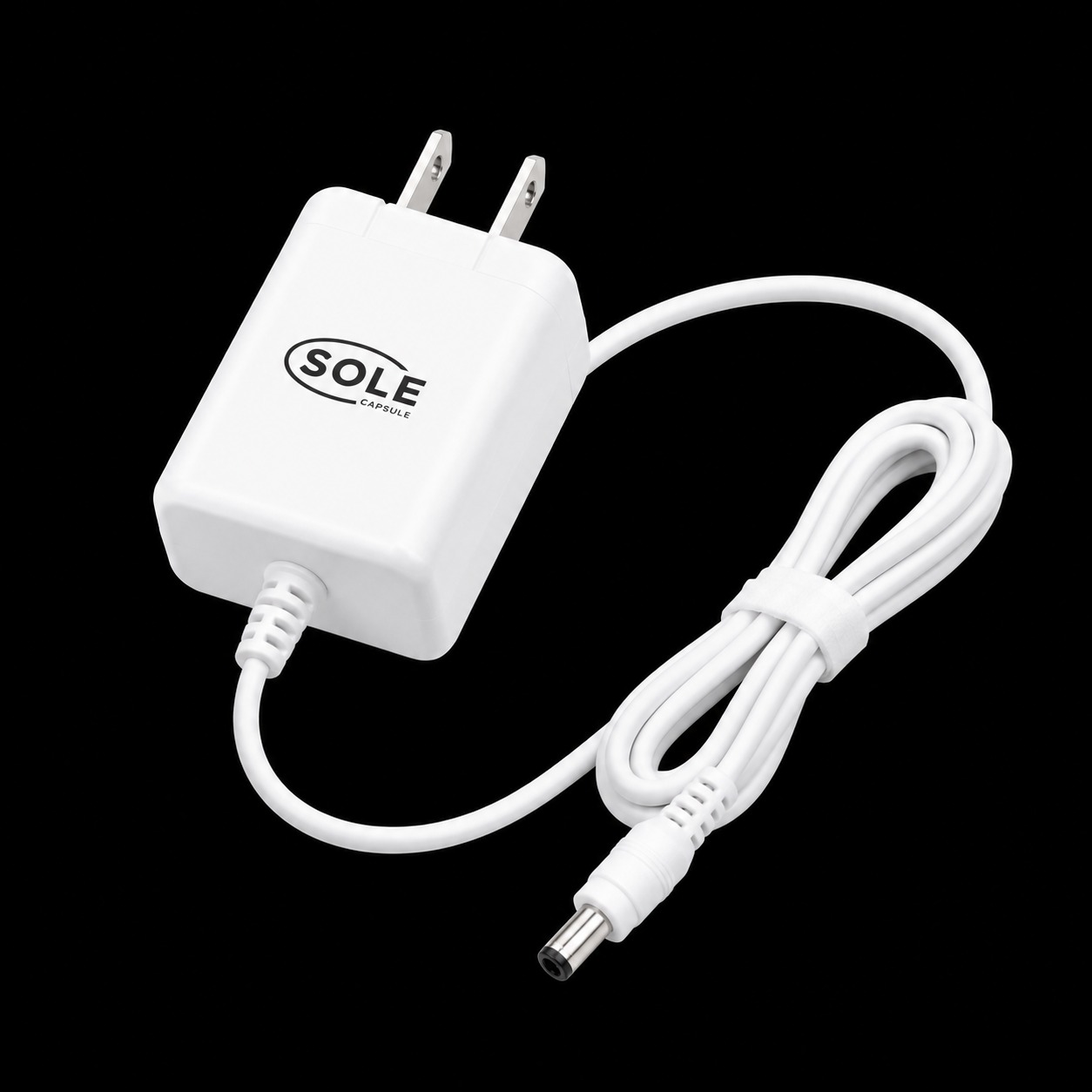 Sole adapter with a US plug